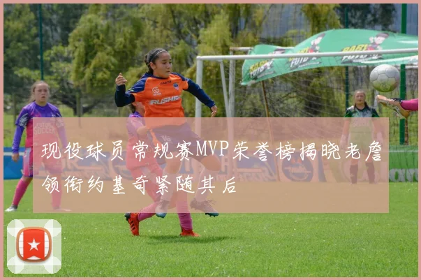 现役球员常规赛MVP荣誉榜揭晓老詹领衔约基奇紧随其后