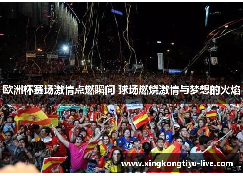 欧洲杯赛场激情点燃瞬间 球场燃烧激情与梦想的火焰