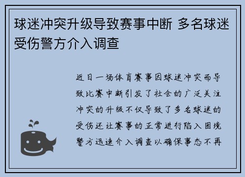 球迷冲突升级导致赛事中断 多名球迷受伤警方介入调查